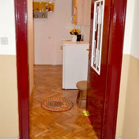 Joy Prefectura 1 Timişoara