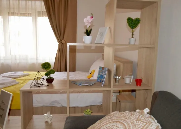 Joy Prefectura 1 * Timişoara