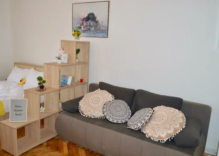 Joy Prefectura 1 * Timişoara