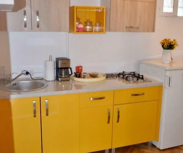 Apartment Joy Prefectura 1 Timişoara