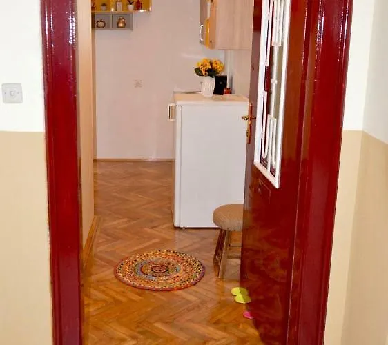 Joy Prefectura 1 Timişoara