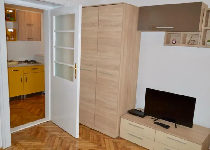 Apartment Joy Prefectura 1 Timişoara